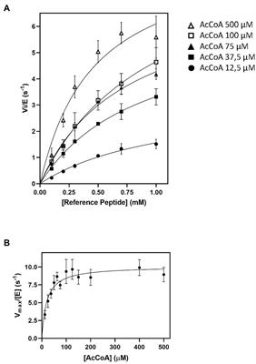 A Continuous Assay Set to Screen and Characterize Novel Protein N-Acetyltransferases Unveils Rice General Control Non-repressible 5-Related N-Acetyltransferase2 Activity